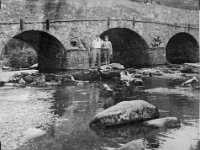 image1546  Postbridge Dartmoor